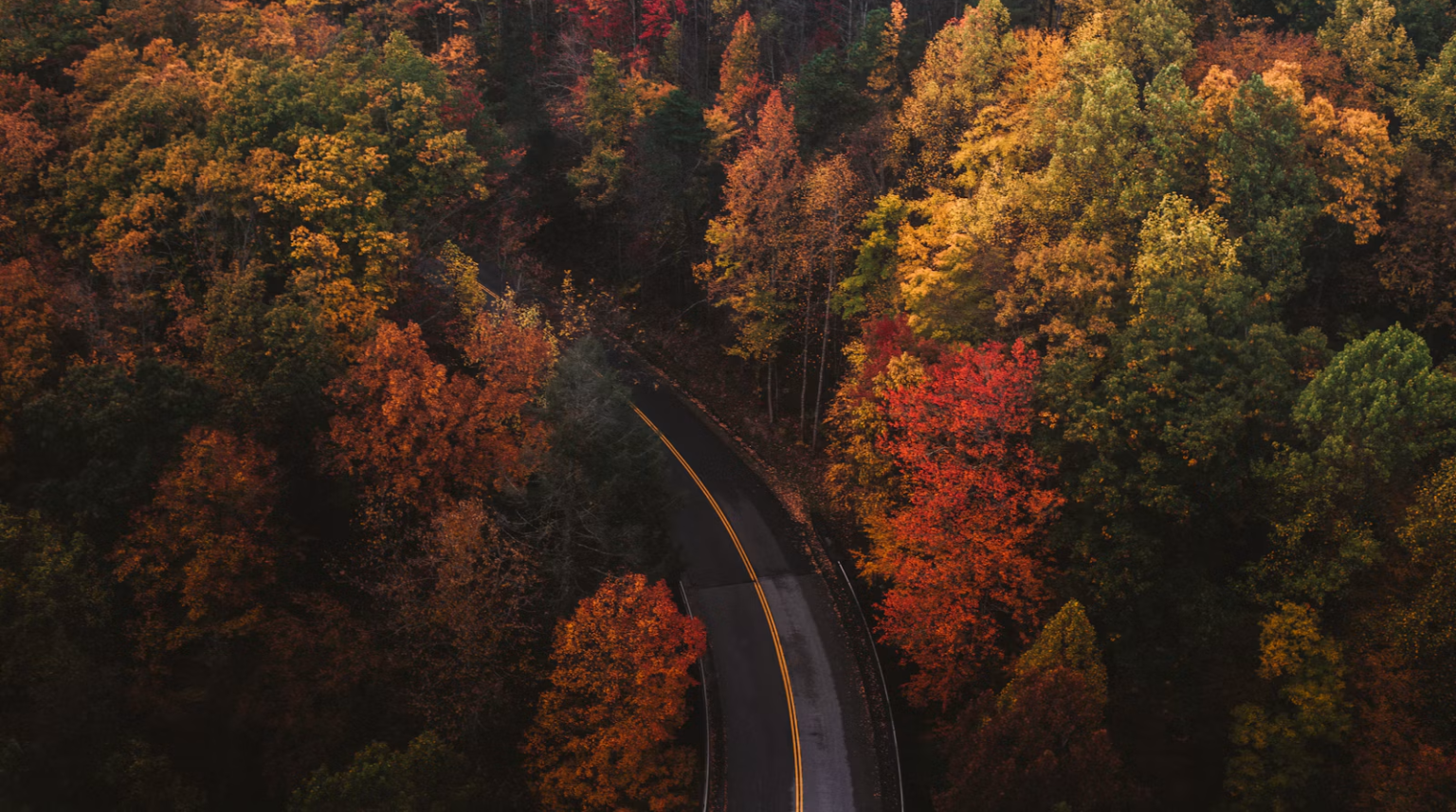 Paisaje de otoño para conducir