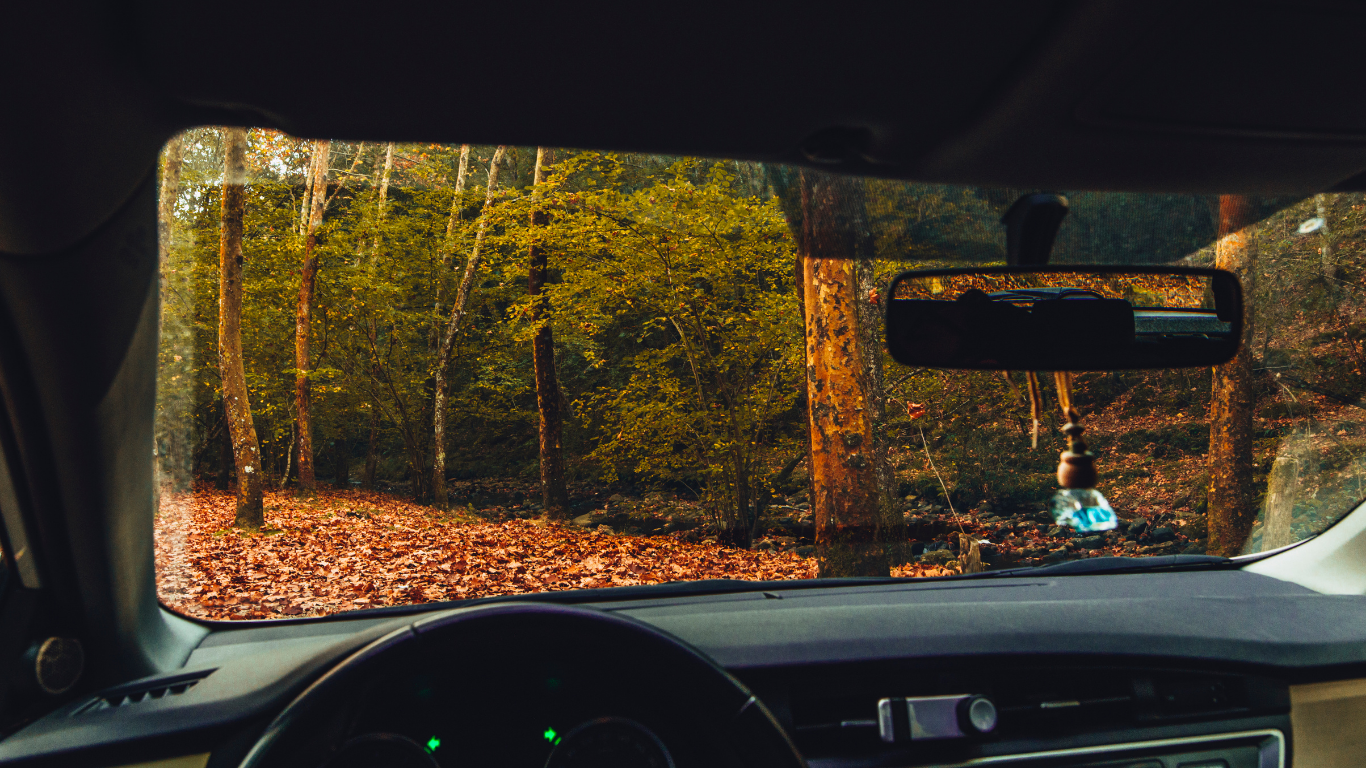 Paisaje de otoño desde el interior del coche durante unas escapadas en coche desde barcelona en otoño